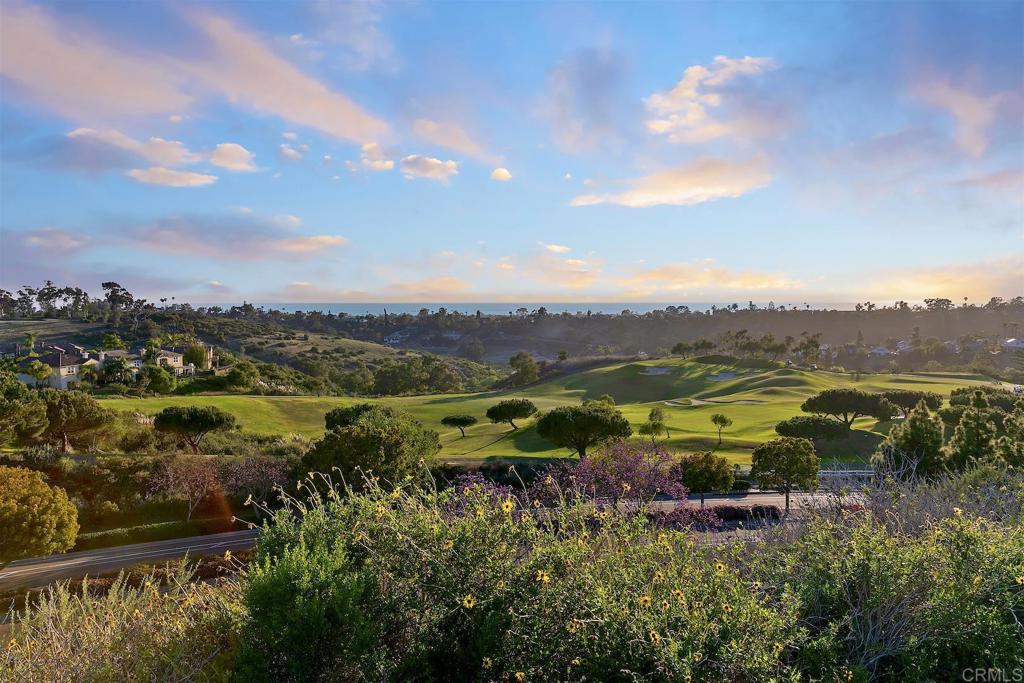 1435 Ravean Court Encinitas, CA 92024 - Photo 11 of 48 a view of a city