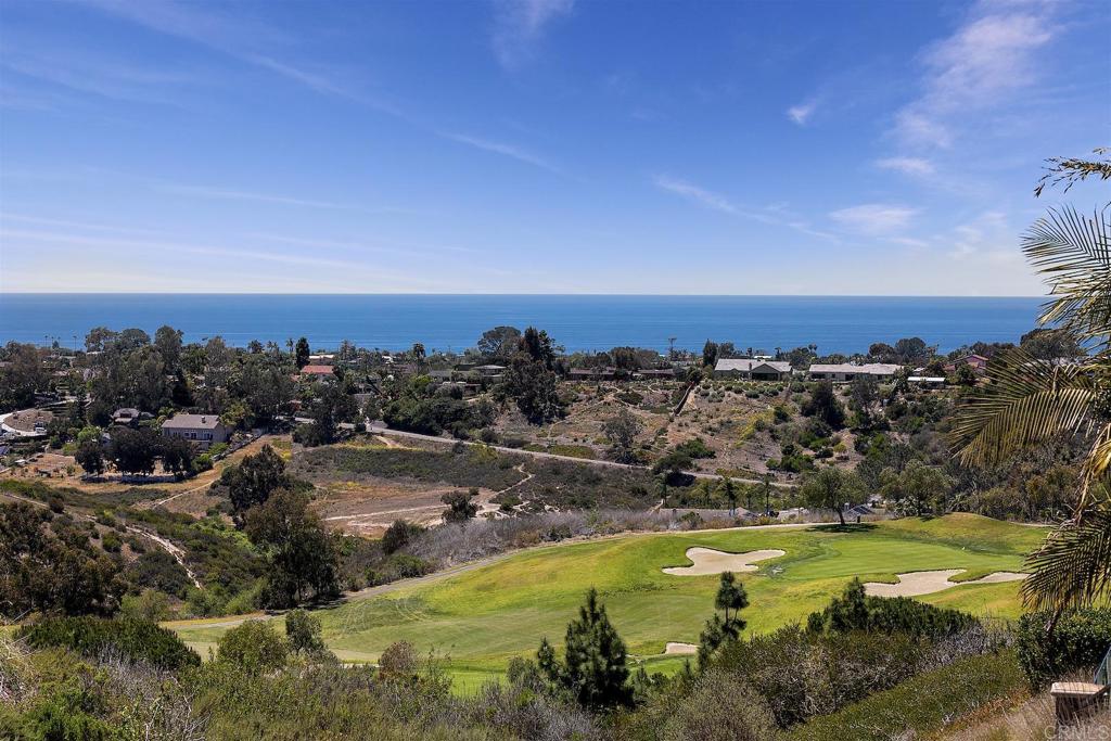 1435 Ravean Court Encinitas, CA 92024 - Photo 4 of 48