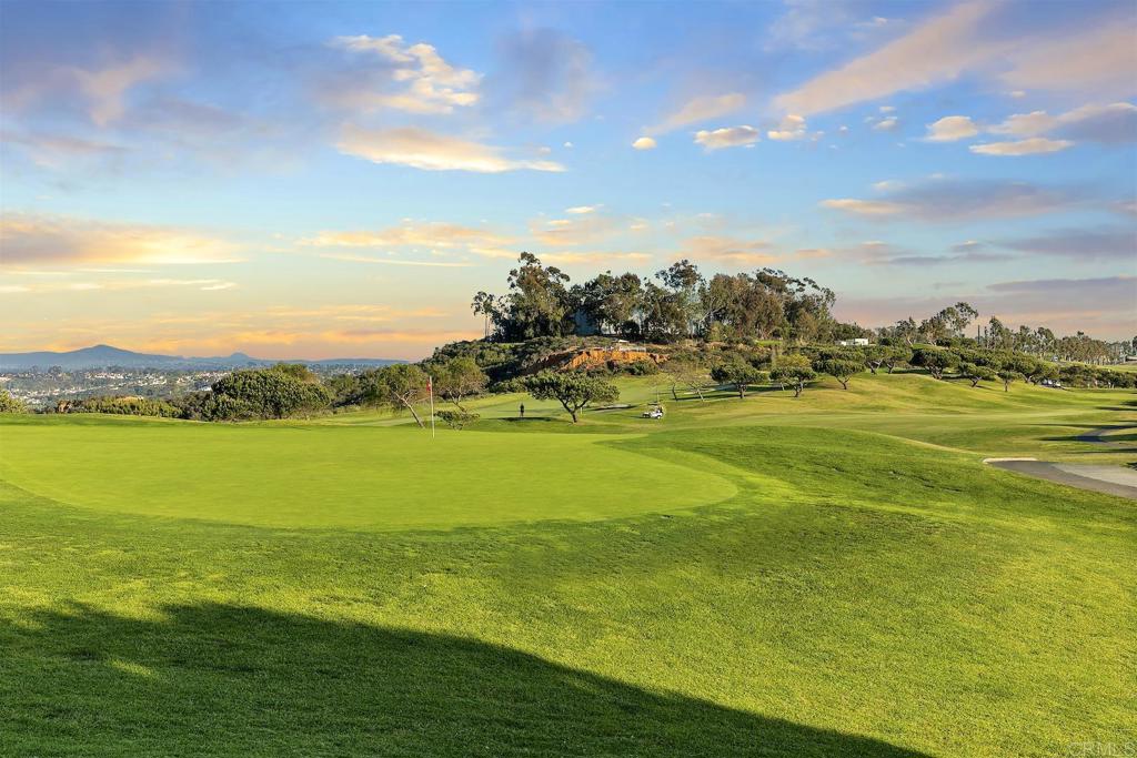 1435 Ravean Court Encinitas, CA 92024 - Photo 5 of 48 a view of an ocean and beach