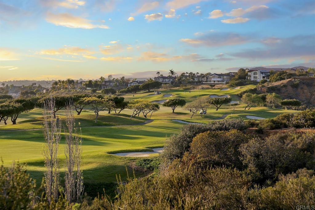 1435 Ravean Court Encinitas, CA 92024 - Photo 7 of 48 a view of a lake