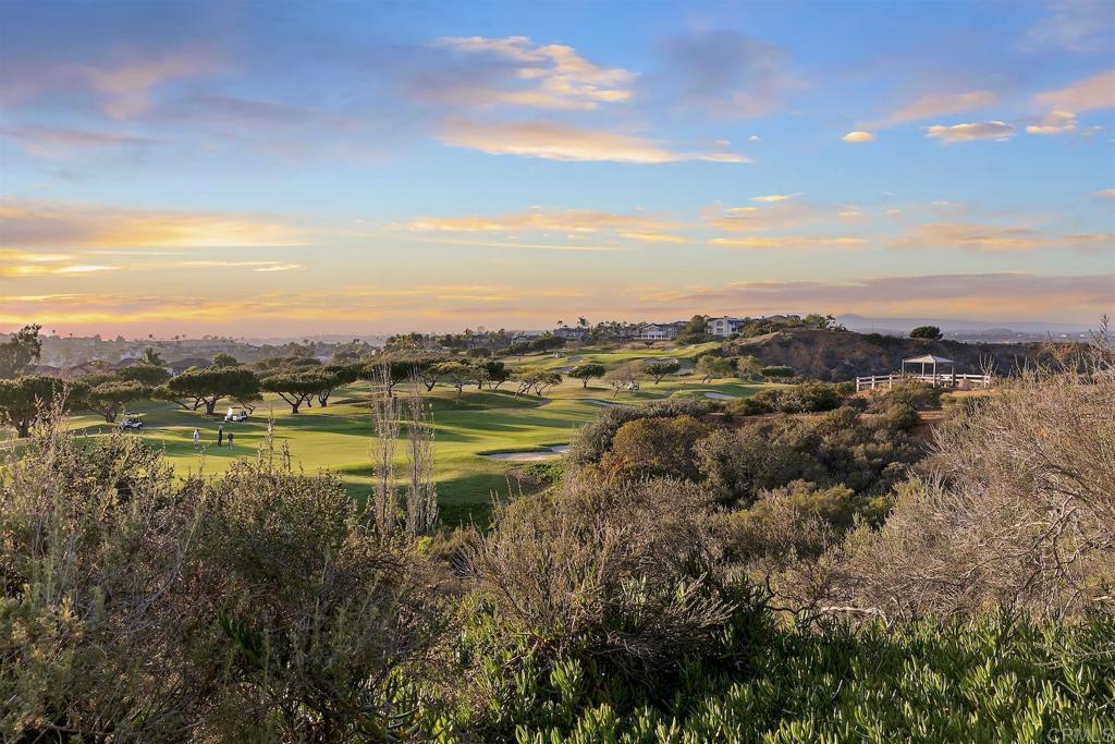 1435 Ravean Court Encinitas, CA 92024 - Photo 8 of 48 a view of a lake with a city