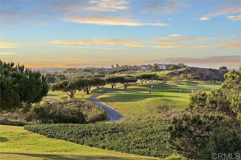 1435 Ravean Court Encinitas, CA 92024 - Photo 9 of 48 a view of a city