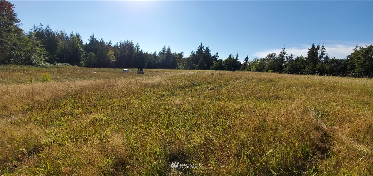 5973 Mission Road Bellingham, WA 98226 - Photo 5 of 12 Gallery Image 5