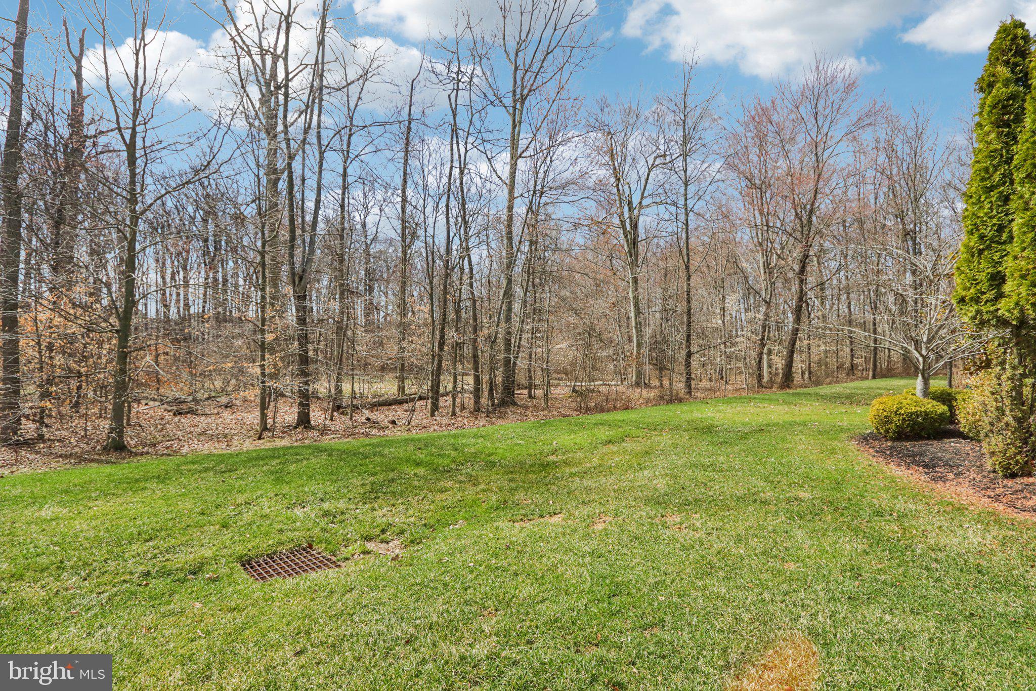 183 Fillmore Way Yardley, PA 19067 - Photo 61 of 82 Rear View