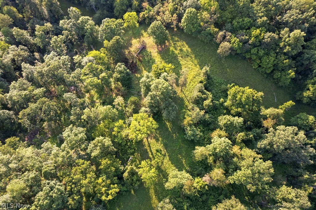 102 Logston Run Road Ravenswood, WV 26164 - Photo 36 of 42 Aerial perspective showcasing expansive wooded grounds with a central grassy clearing