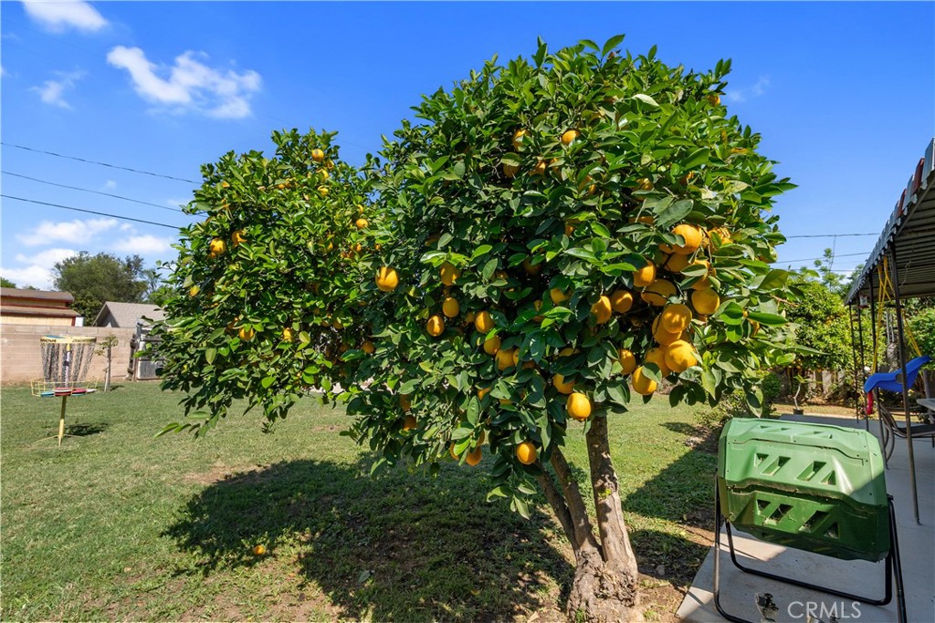 4715 Oakwood Place Riverside, CA 92506 - Photo 29 of 36