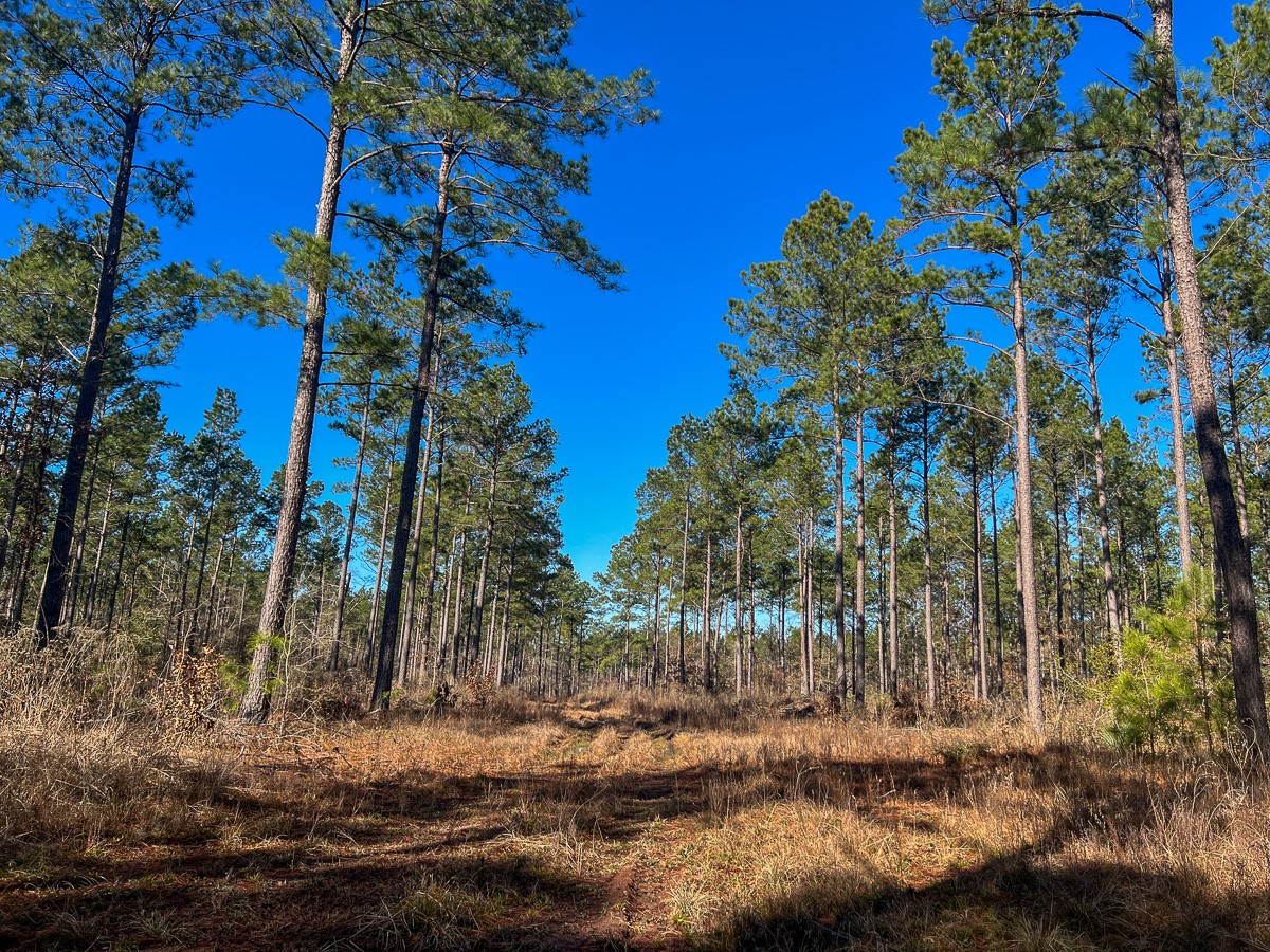 1 Highway 287 Midlothian, TX 76065 - Photo 11 of 25