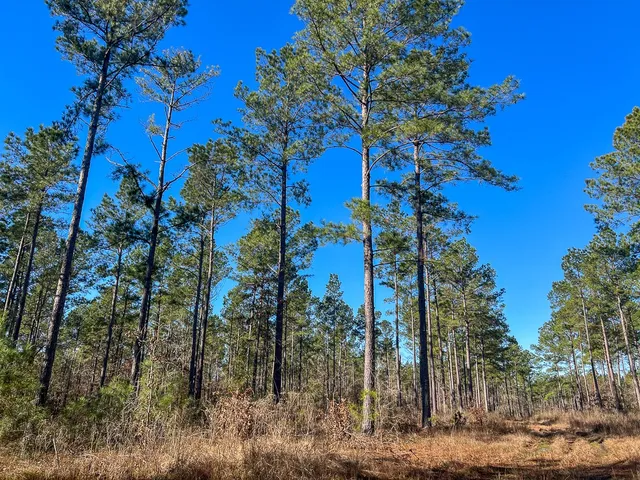 $1,452,000 | 1 Highway 287, Midlothian, TX 76065