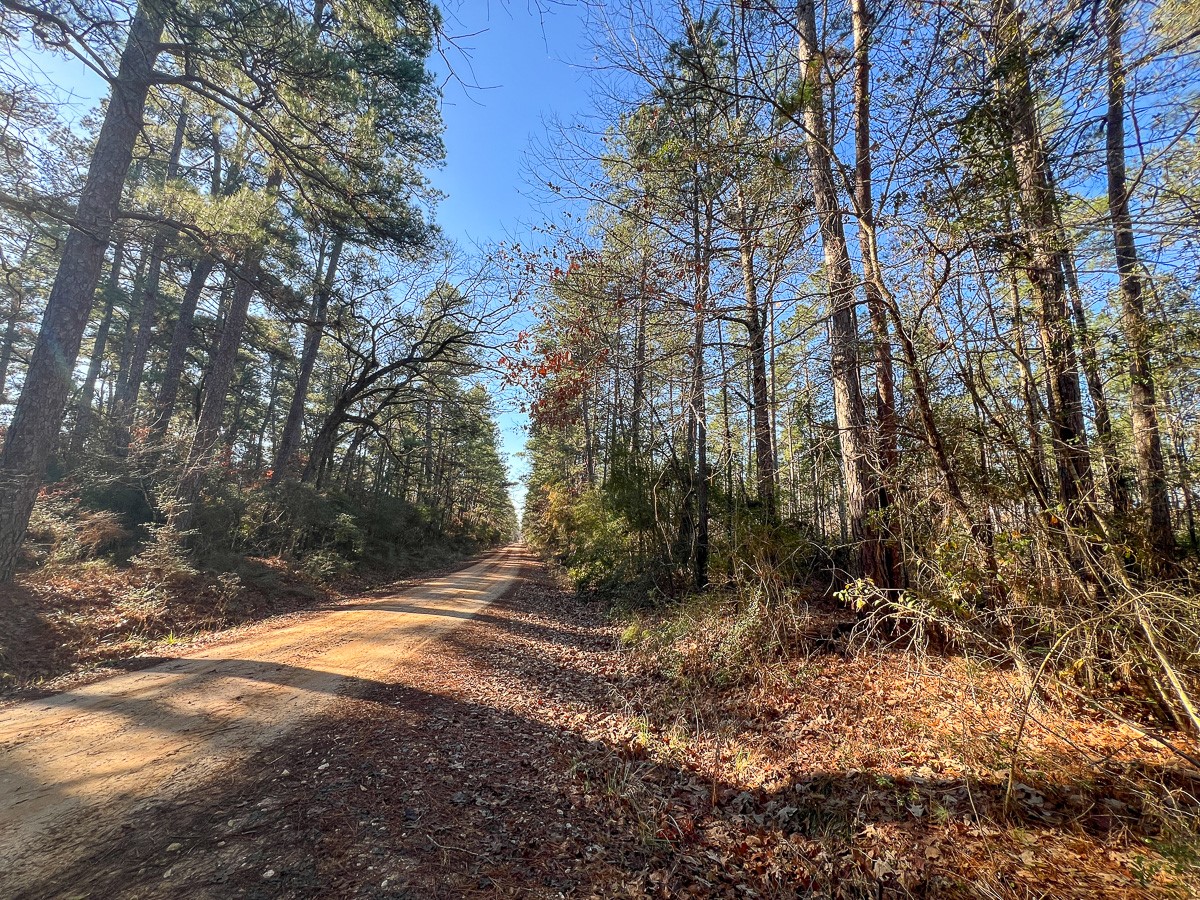 1 Highway 287 Midlothian, TX 76065 - Photo 4 of 25