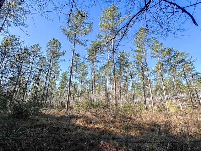 $1,452,000 | 1 Highway 287, Midlothian, TX 76065