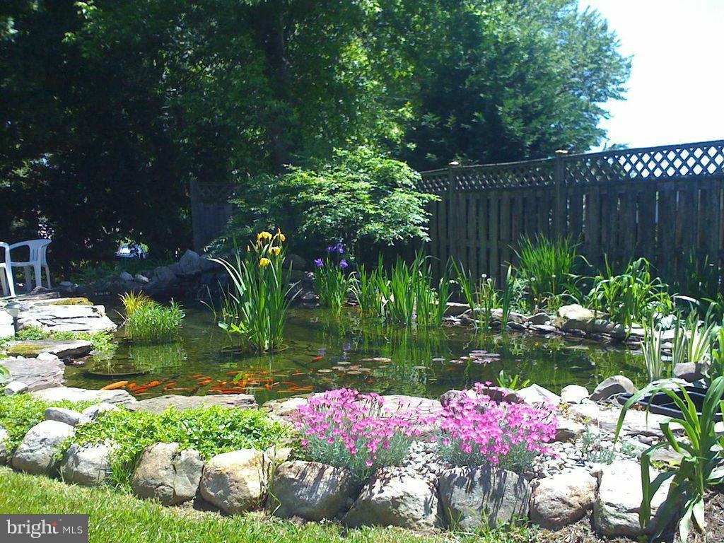 807 Jackson Road Silver Spring, MD 20904 - Photo 1 of 29 Exterior (Rear)