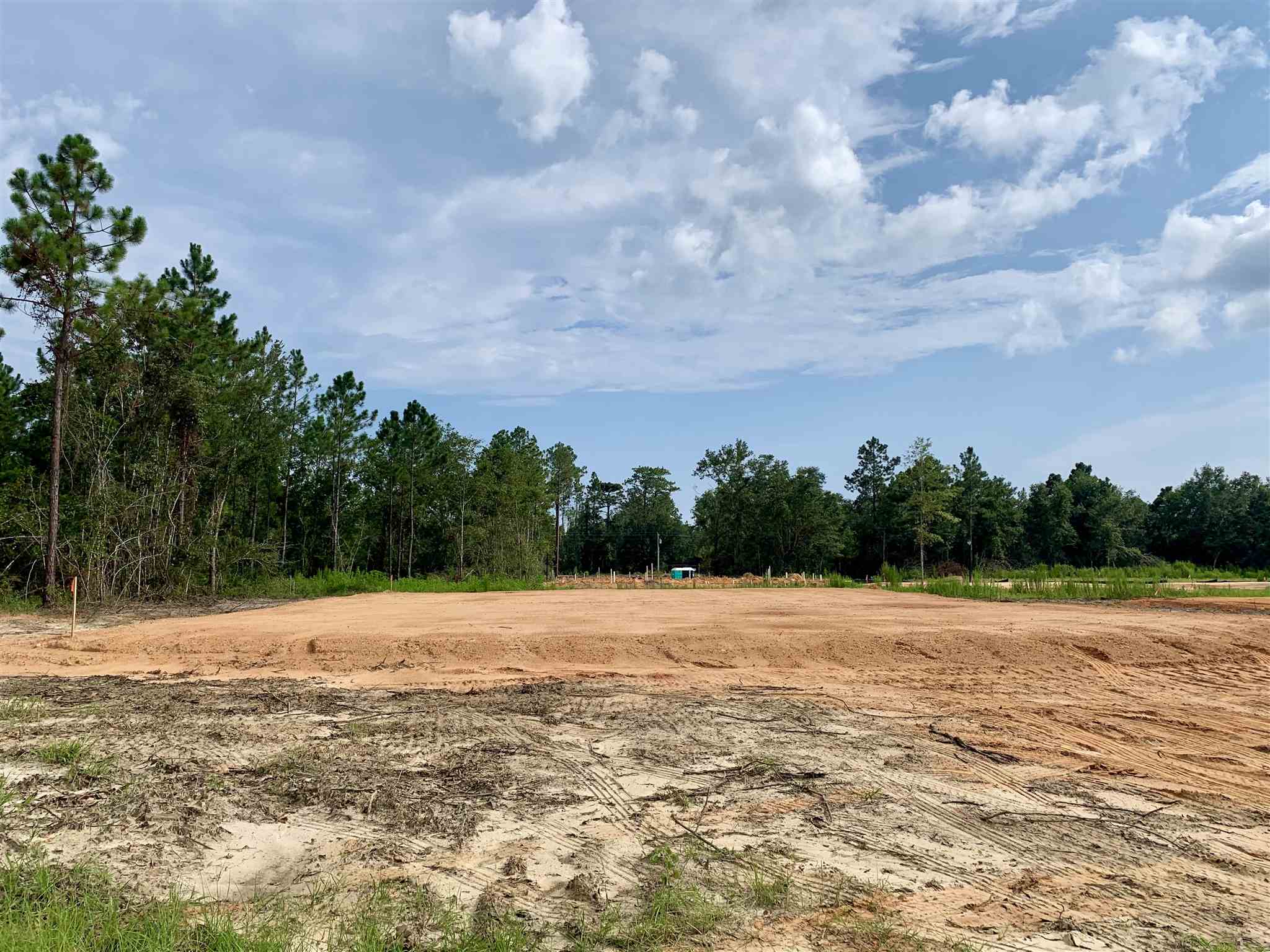 23469 Travis Stock Street Foley, AL 36535 - Photo 9 of 9