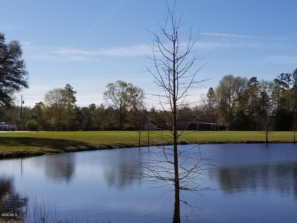 76 Rayburn Road Carriere, MS 39426 - Photo 25 of 29 171621_18