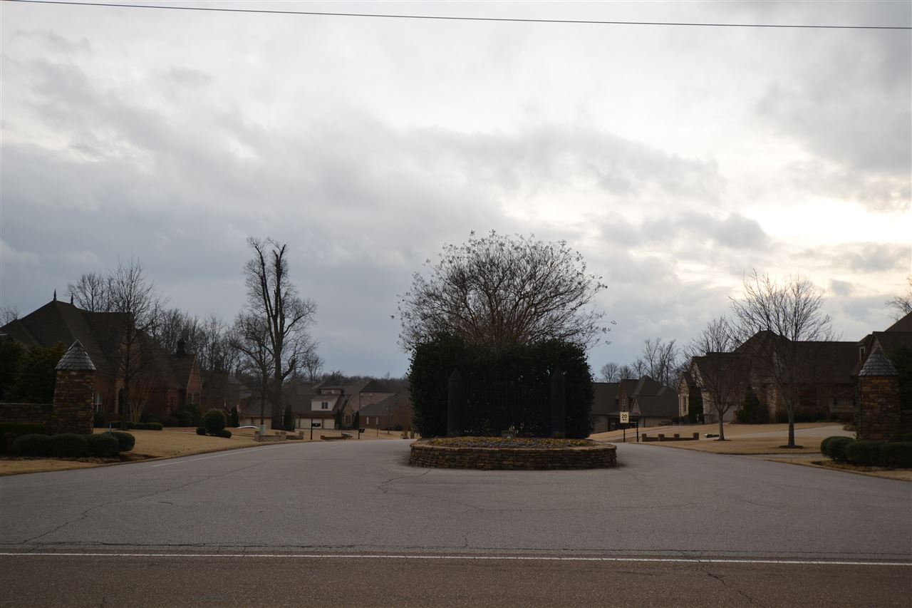 0 Colton Ridge Lane Atoka, TN 38004 - Photo 11 of 14 Gallery Image 11
