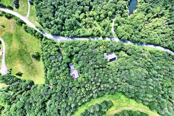 a view of a lush green forest with lots of trees