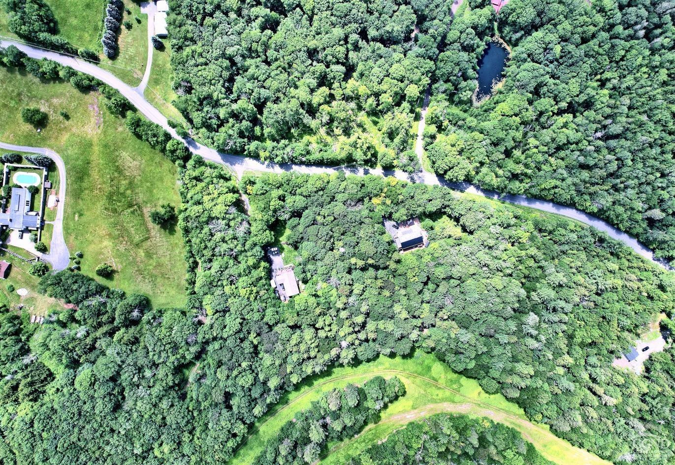 381 Clum Hill Road Hunter, NY 12442 - Photo 12 of 30 a view of a lush green forest with lots of trees