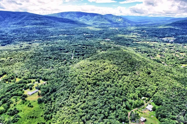 a view of a house with a lush green forest