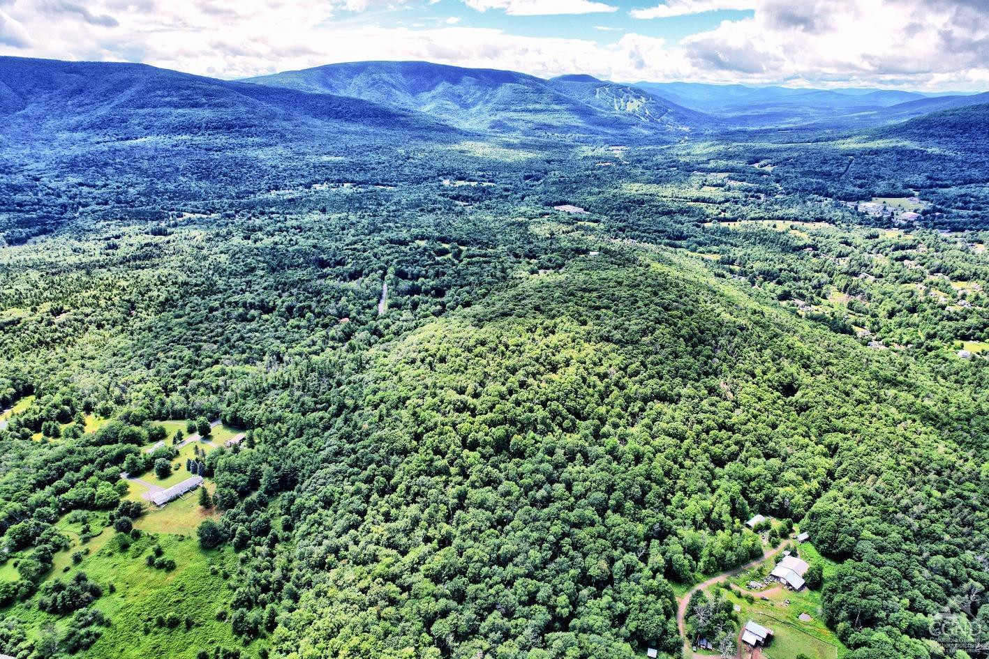 381 Clum Hill Road Hunter, NY 12442 - Photo 13 of 30 a view of a lush green field