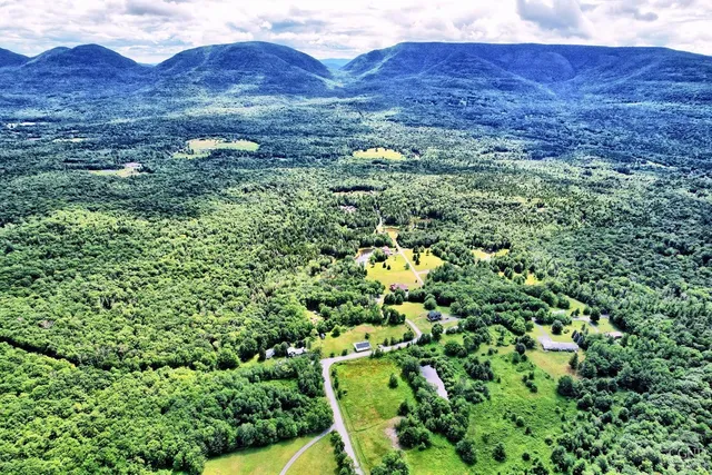 a view of a lush green hillside and a houses