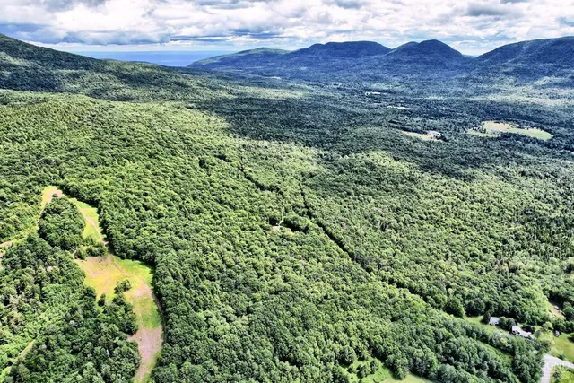 a map view of a garden