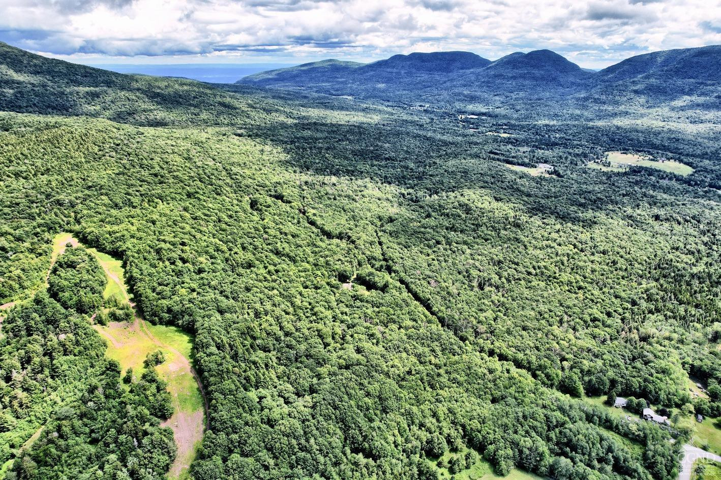 381 Clum Hill Road Hunter, NY 12442 - Photo 15 of 30 a view of a lush green hillside and a houses