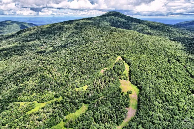 a view of a lush green forest with houses