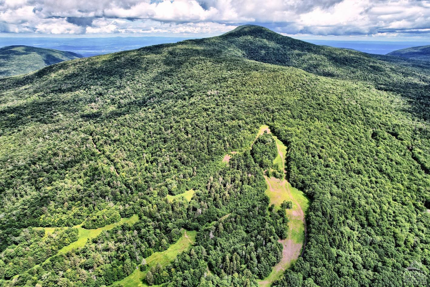 381 Clum Hill Road Hunter, NY 12442 - Photo 16 of 30 a map view of a garden