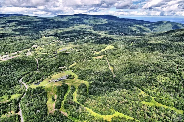 a view of a city with lush green forest