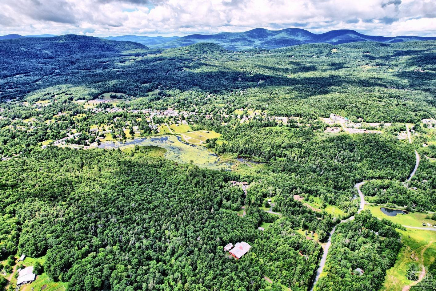 381 Clum Hill Road Hunter, NY 12442 - Photo 18 of 30