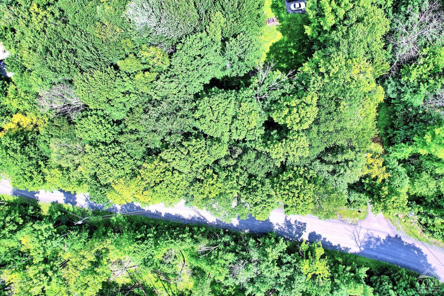 381 Clum Hill Road Hunter, NY 12442 - Photo 20 of 30 a view of a garden