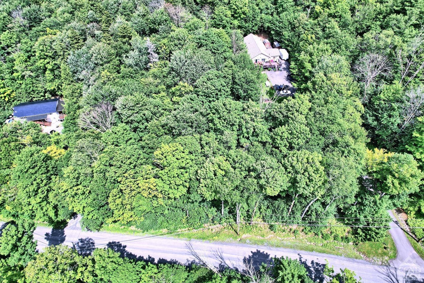 381 Clum Hill Road Hunter, NY 12442 - Photo 2 of 30 a backyard of a house with a tree