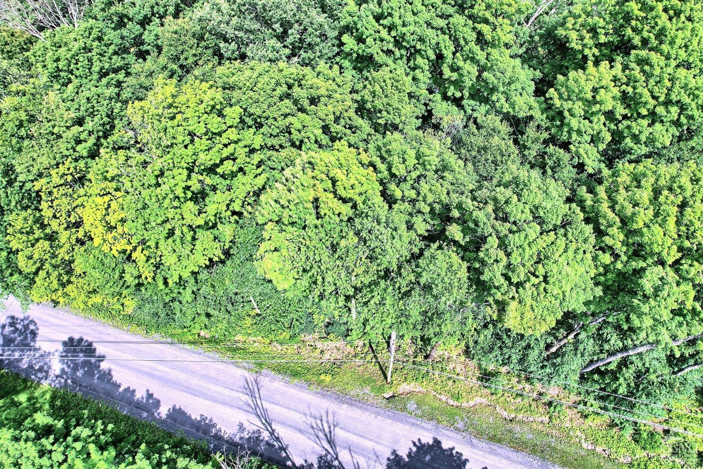 381 Clum Hill Road Hunter, NY 12442 - Photo 21 of 30 a view of a garden