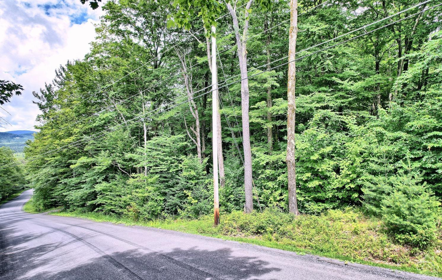 381 Clum Hill Road Hunter, NY 12442 - Photo 22 of 30 a view of a garden