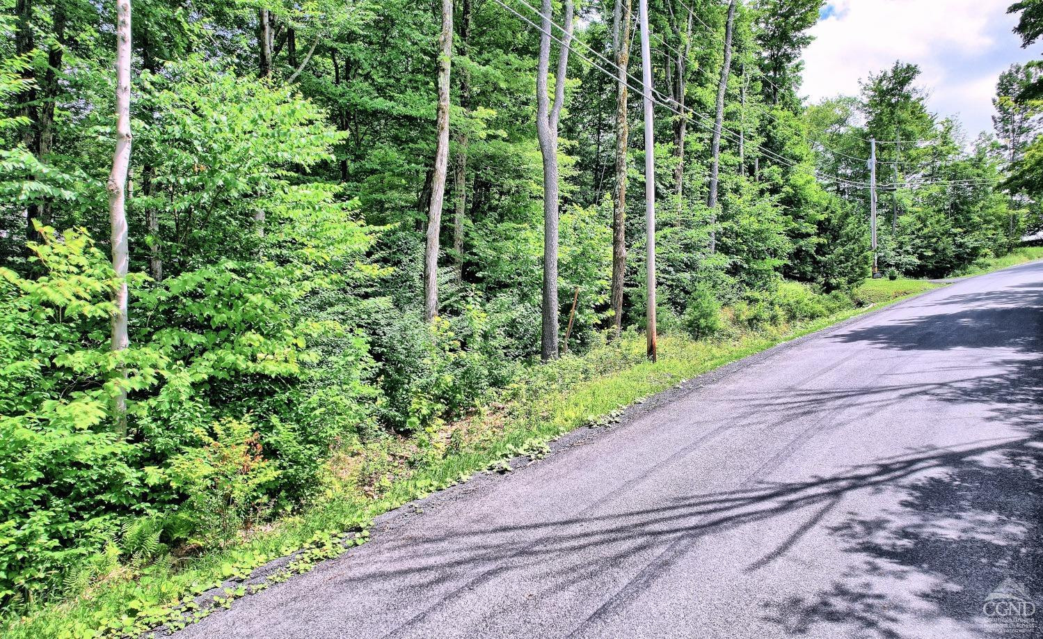 381 Clum Hill Road Hunter, NY 12442 - Photo 23 of 30 a view of a garden with plants