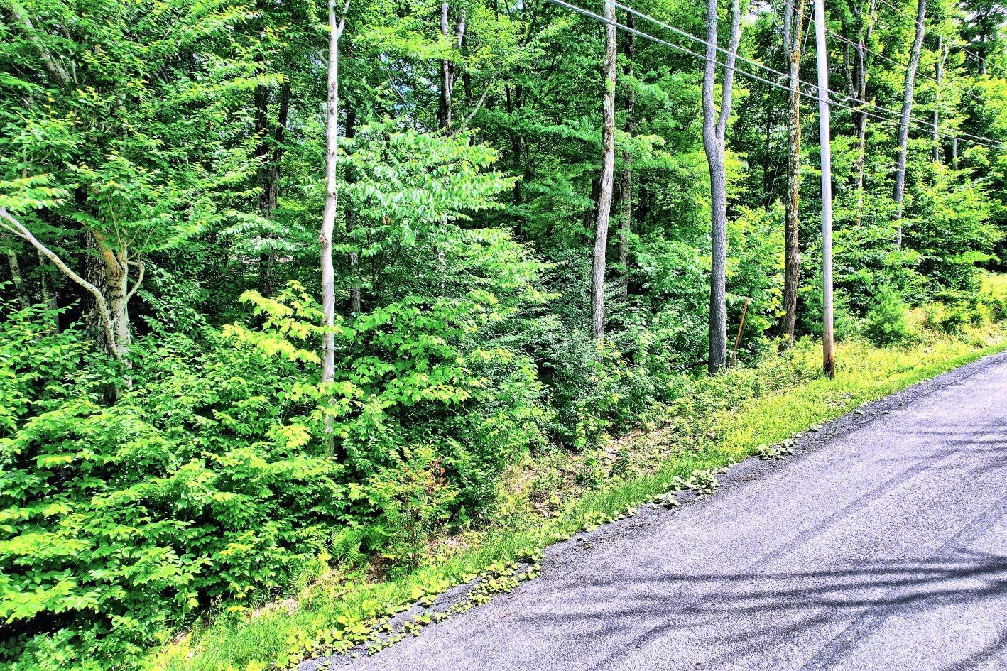 381 Clum Hill Road Hunter, NY 12442 - Photo 24 of 30 a view of a garden