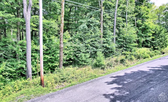 a view of a garden with plants