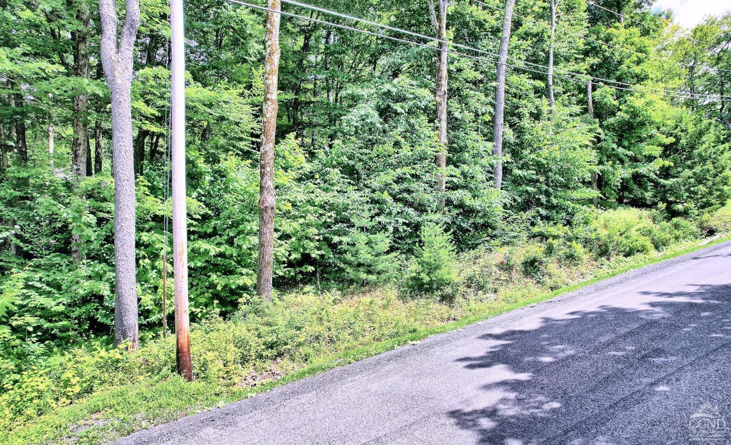 381 Clum Hill Road Hunter, NY 12442 - Photo 25 of 30 a view of a garden with plants
