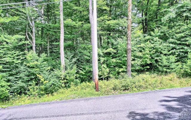 a view of a garden with plants