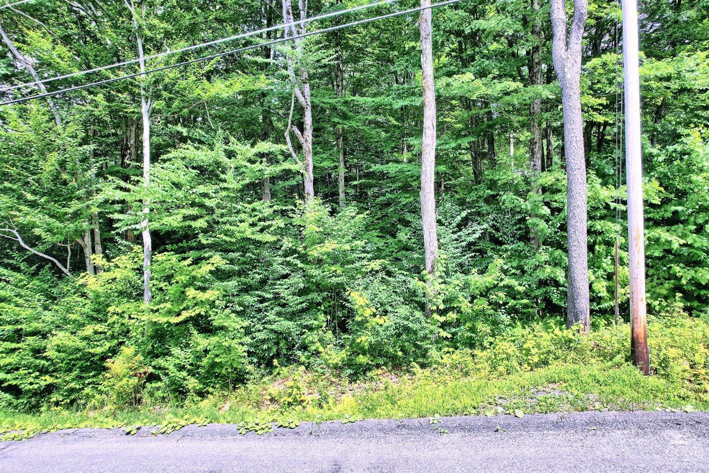 381 Clum Hill Road Hunter, NY 12442 - Photo 27 of 30 a view of a garden with plants