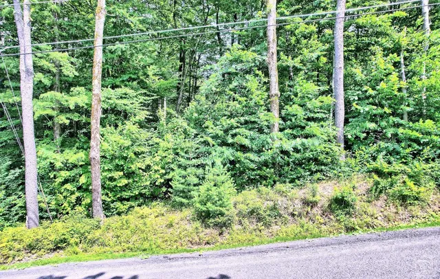 $64,900 | 381 Clum Hill Road, Hunter, NY 12442