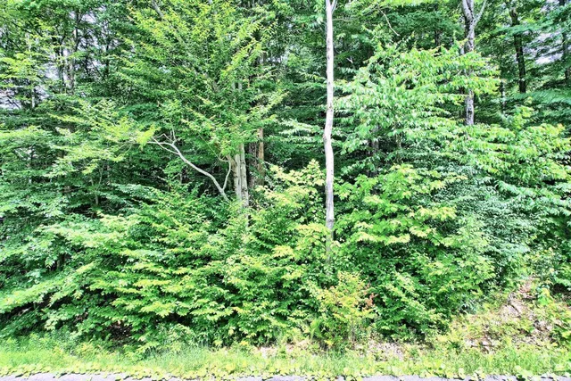 $64,900 | 381 Clum Hill Road, Hunter, NY 12442