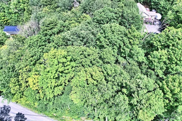 a backyard of a house with a yard and outdoor seating