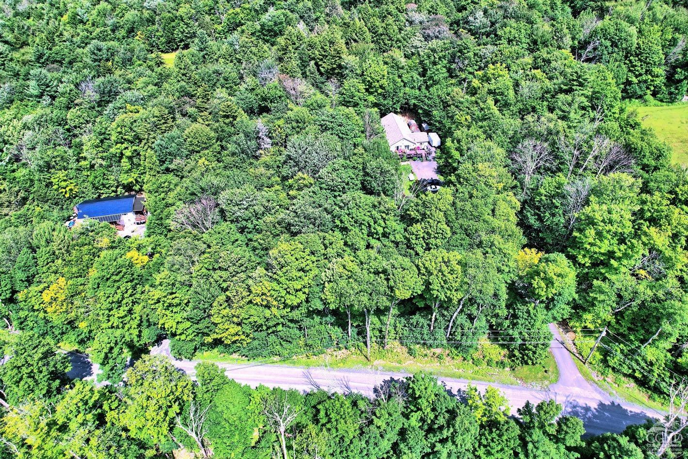 381 Clum Hill Road Hunter, NY 12442 - Photo 4 of 30 a backyard of a house with a yard and outdoor seating