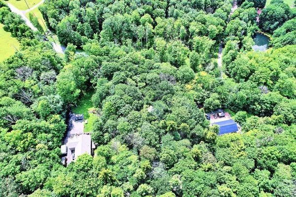 a bird view of a house with a lush green forest