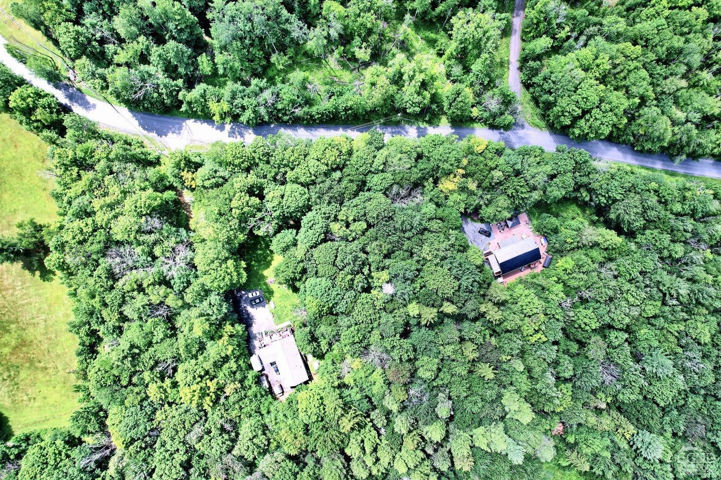 381 Clum Hill Road Hunter, NY 12442 - Photo 9 of 30 a bird view of a house with a lush green forest