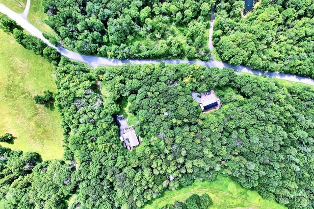 a close up of a plant in a garden
