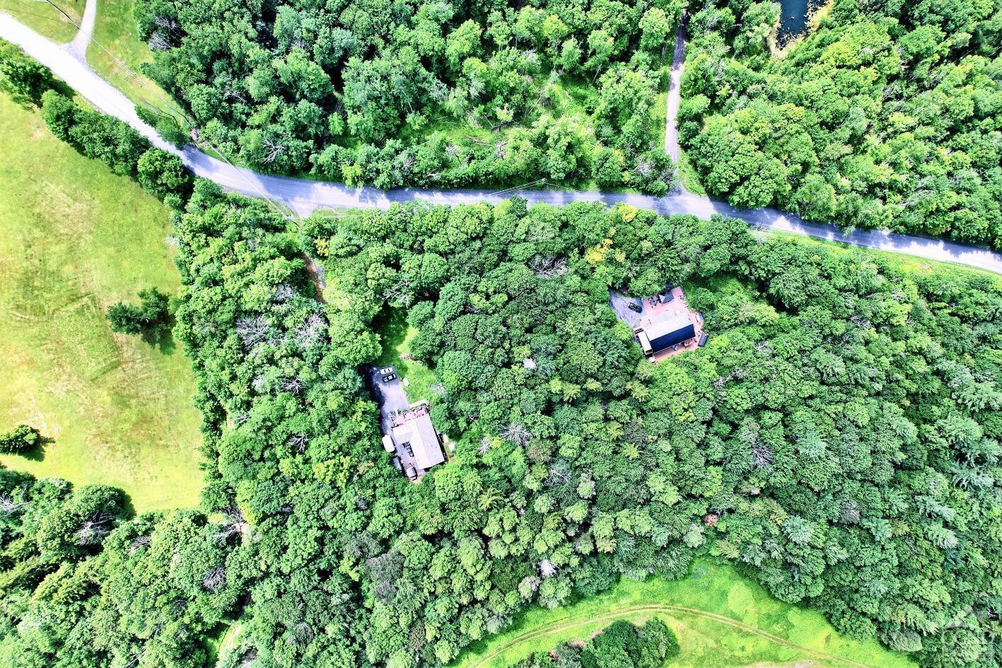 381 Clum Hill Road Hunter, NY 12442 - Photo 10 of 30 a backyard of a house with lots of green space