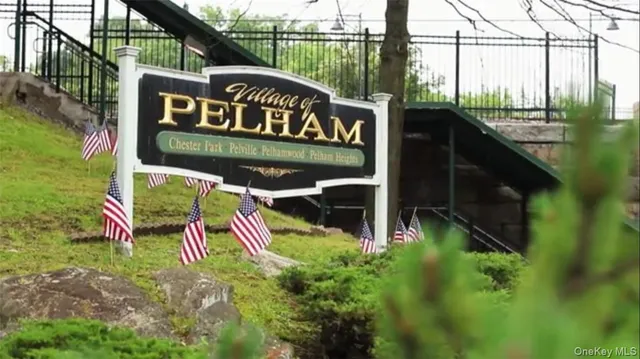 a view of a street sign under a tree
