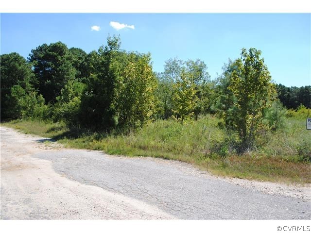 0 Sawmill Road Prince George, VA 23875 - Photo 14 of 14 Gallery Image 14