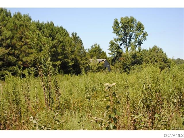 0 Sawmill Road Prince George, VA 23875 - Photo 5 of 14 Gallery Image 5